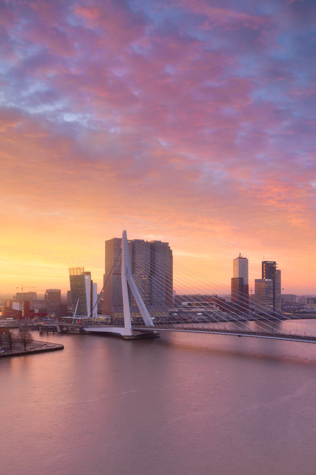 Rotterdam in color