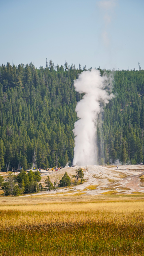 Yellowstone 