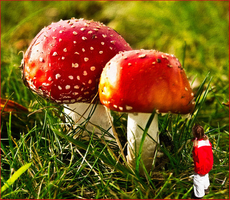 komt dat even mooi uit!............