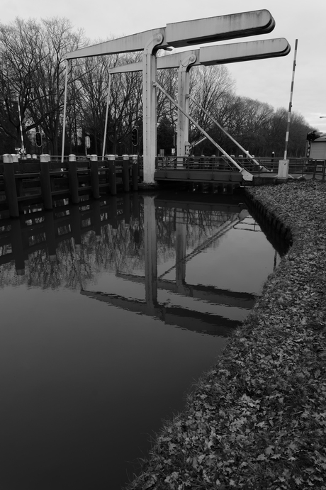 Om en bij "Brug Groene woud"