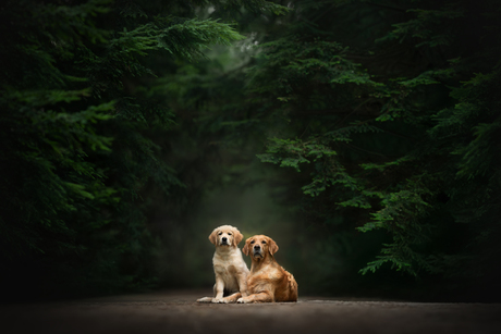 Moeder-dochter portret 