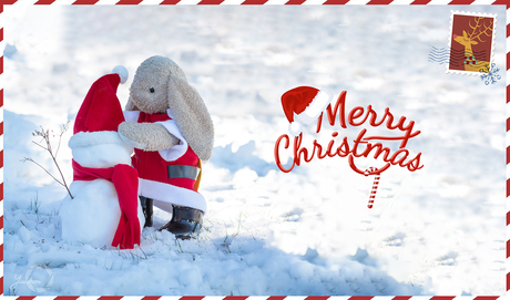 Merry Christmas!
