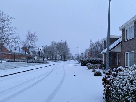 Sneeuw