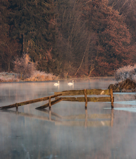 De overgang van herfst naar winter