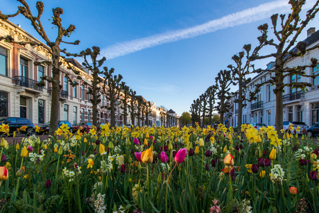 Bloemrijke straat