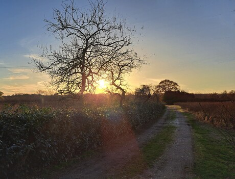 Zonsondergang 