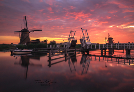 Kinderdijk 