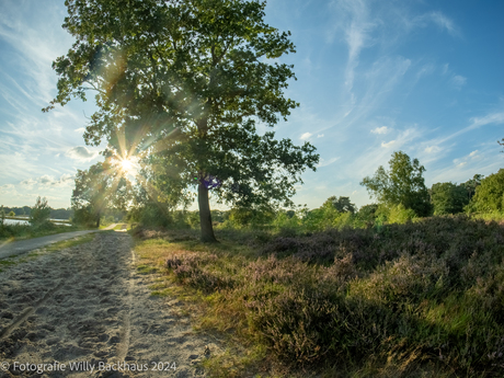 Hatertse vennen 2