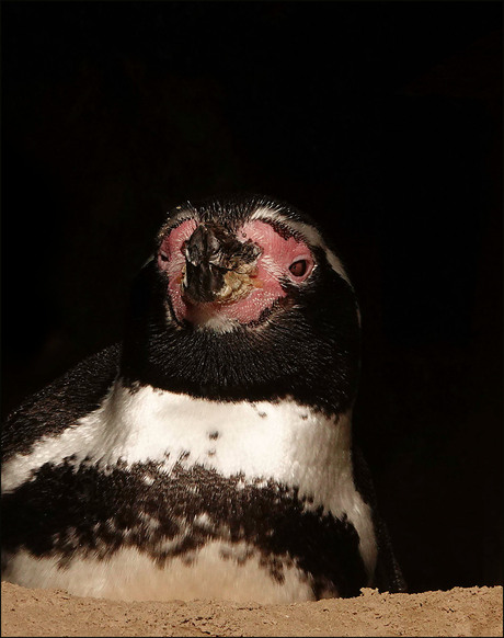 op mijn foto van gisteren...................