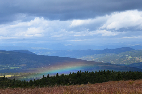 Geen boog, maar toch