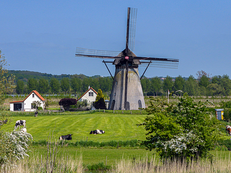 Hollands plaatje ( De Marsch)