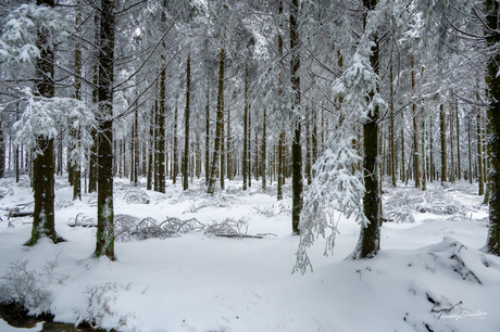 Ardennen