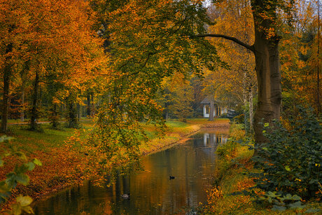 Herfst doorkijkje