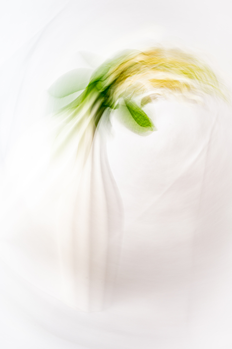 ICM ( Camera in beweging tijdens foto maken)