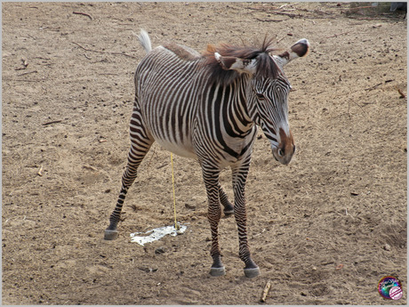 Pff … dat lucht op …