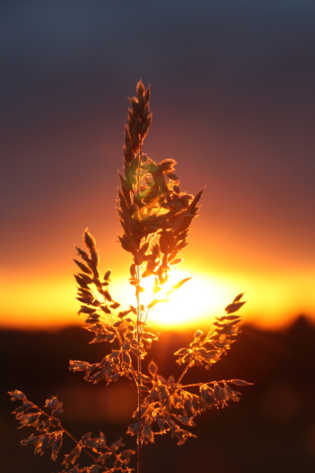 Zonsondergang