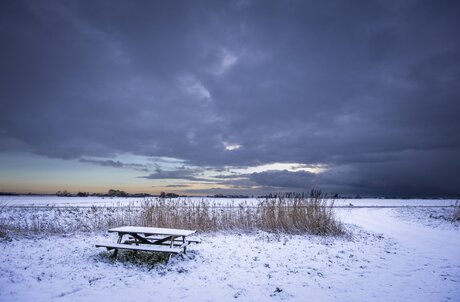 Sneeuw picknick