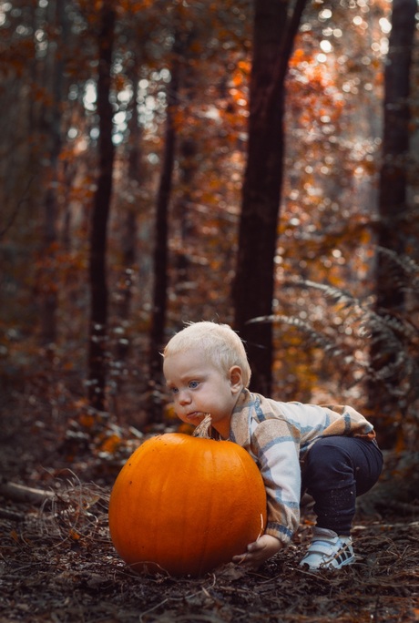 Pumpkin 