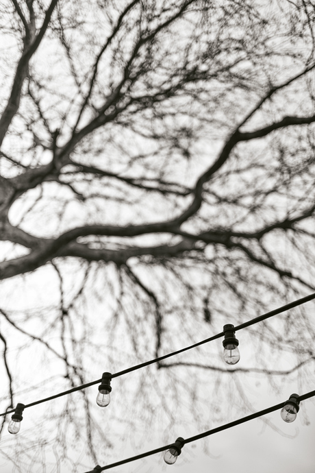 Lampjes en bomen, Woerden.