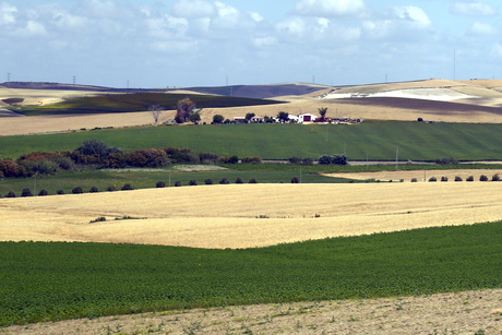 Prachtig landschap