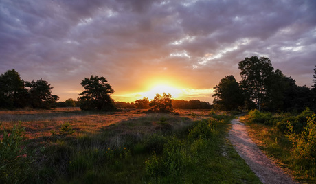 Zonsopkomst