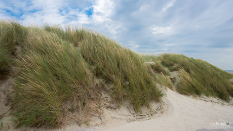 Duinen bij Hollum in Ameland