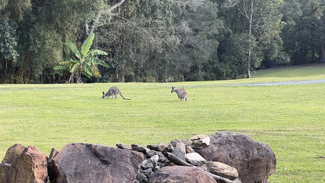 Hervey Bay - Australië