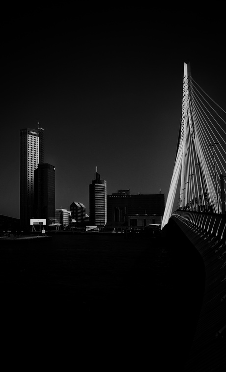 Rotterdam skyline