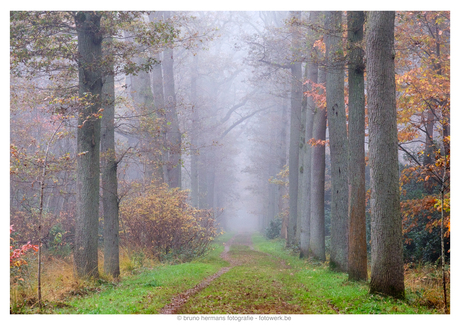 Herfst in Peerdsbso