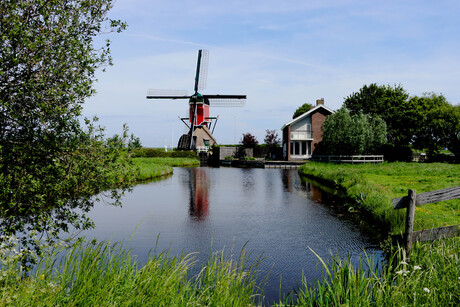 Molen