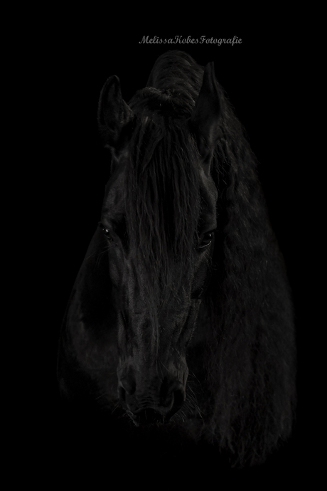 studiofotografie