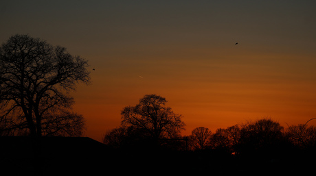 Driekleurige zonsondergang