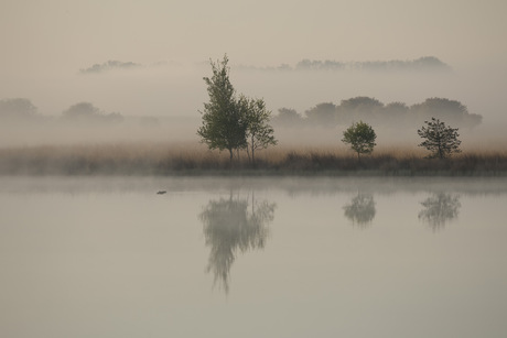  Mist boven Davidsplassen