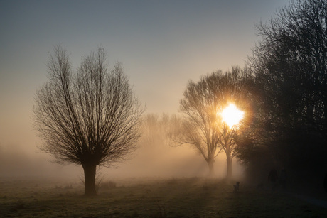 Misty Morning