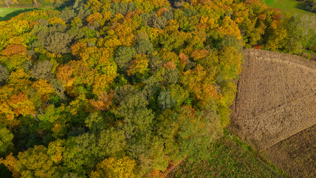 Herfstbeelden