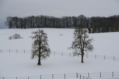 sleeën, natuur op z'n best