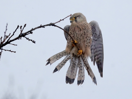 Erg glad zo'n takje ......