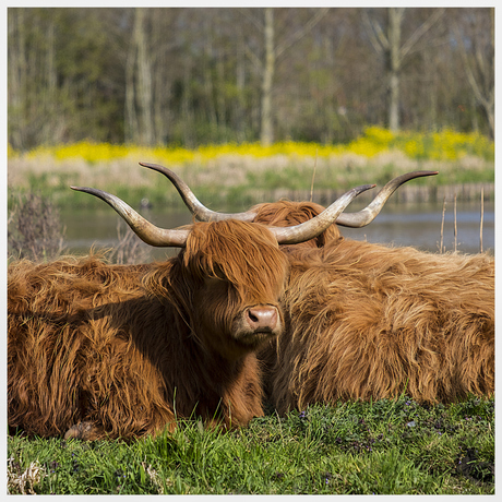 Gezellig bij elkaar