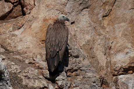 Vale Gier, Gorges du Verdon