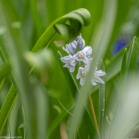 Verstoppertje spelen