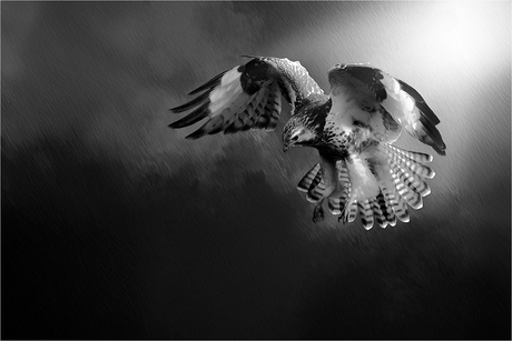 Even halt, ik zie iets.