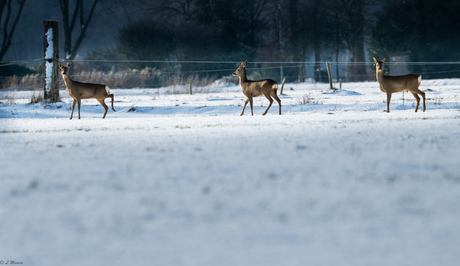 Wintertijd in Drenthe