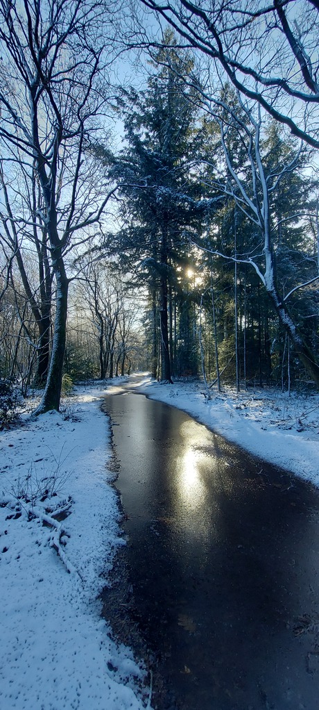 Mooie winterwandeling