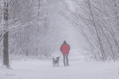 in een sneeuwbui..