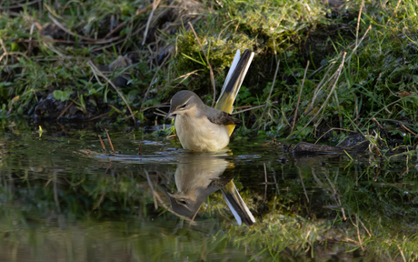 Spiegeltje spiegeltje...