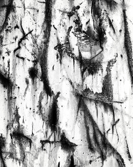 Artistic decay 08