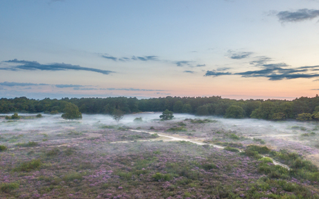Pastel in de ochtend