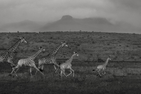 Running in the family