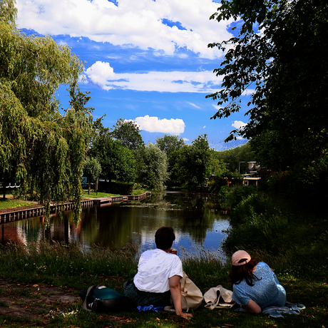 picnic