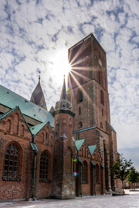 Domkerk Ribe